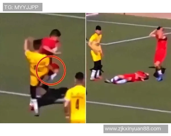 因足球场意外身亡的球星：揭示悲剧背后的真相与影响